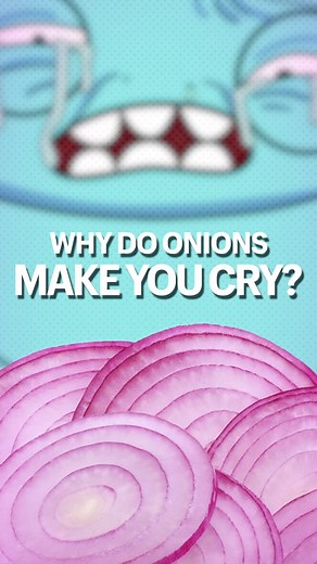 The Science Behind Why Onions Make You Cry
