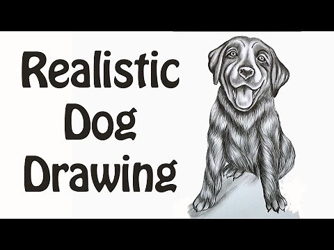 Realistic Dog Drawing Step by Step | Pencil Drawing | How to Draw