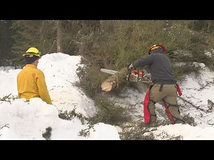 Alaska firefighters receive tactical wildland fire training