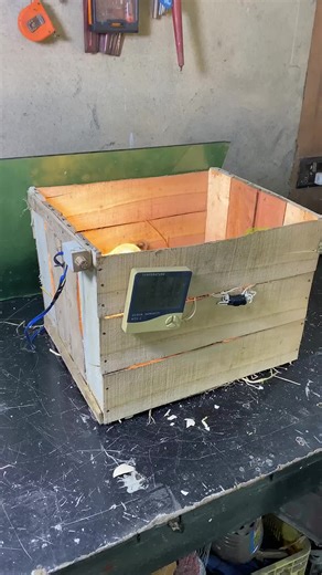 Homemade Krate Incubator: 100% Hatching Success