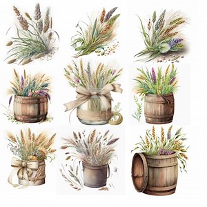 Water Color, Floral, Barley, Wheat, Clip Art, PNG, Commercial Use - Etsy