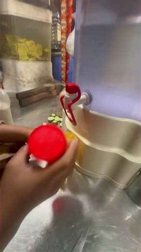 Rainbow Lemon Sherbet Refreshment You’ll Crave! Street Food