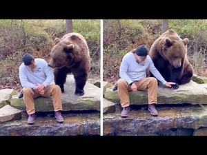 The Best Videos of The Year (Teil 4) || ✪ Stern DuTube
