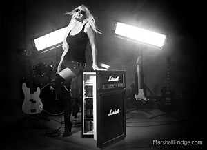 The Marshall Amp Mini Beer Fridge
