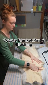 126 reactions · 4 comments | Coyote Blanket Part 2 -Blocking This...
