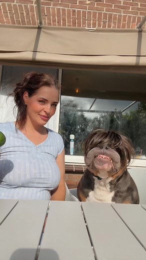 Mango madness with Mr. One Toof 🥭 #reelitfeelit #relax #reelsinstagram #reelsfb #reels #dogsofinstagram #tiktokviral #dogs #doglover #doglife #dog #dogmom | Bundleofbullies