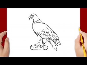 Cómo dibujar un águila