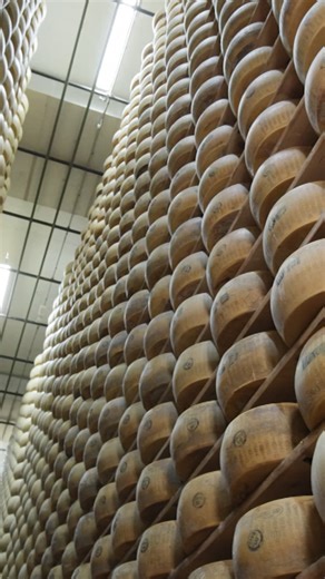 Parmesan in this ‘cheese bank’ is worth millions