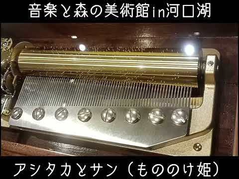 音楽と森の美術館 オルゴールショップ♪