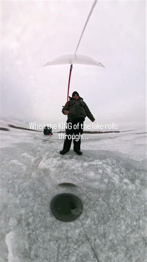 Trophy Iowa Musky swims by the Ice Shack #fishing #icefishing #underwater #bigfish #outdoors