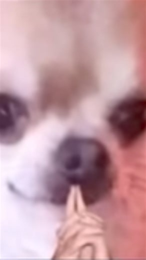 C₃H₄O₃ on Instagram: "CV maxxing . . . . . . . [Delhi metro, vishwavidyalaya, internships, DU] #dmrc #northcampus #internship #employment #du"