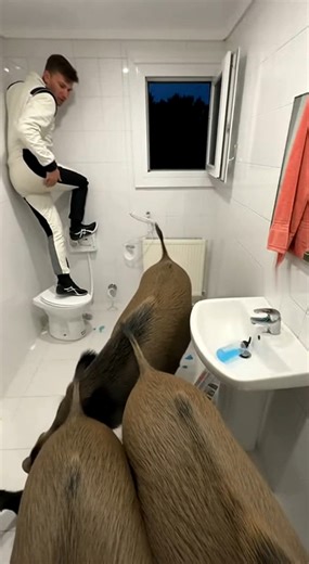 5.7K views | TurboX on Reels | Facebook