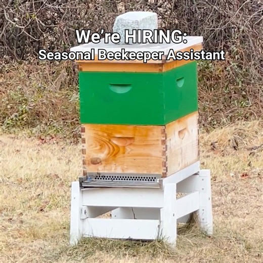 We’re hiring a Seasonal Beekeeper Assistant. 🐝 Looking to spend your season working outdoors, building hands-on farming skills, and contributing to a mission that truly matters? Carversville Farm Foundation is hiring a Seasonal Beekeeper Assistant to support our growing apiary. This role works closely with our Apiary Manager to help operate a start-up, large-scale apiary—from preparing equipment and tending hives to processing honey. 🌱 Why this role matters: Everything we grow—including our ho