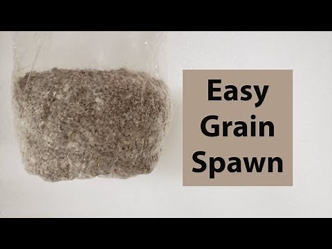 Making Mushroom Spawn The Easy Way - Preparing Grain Spawn for the Autoclave