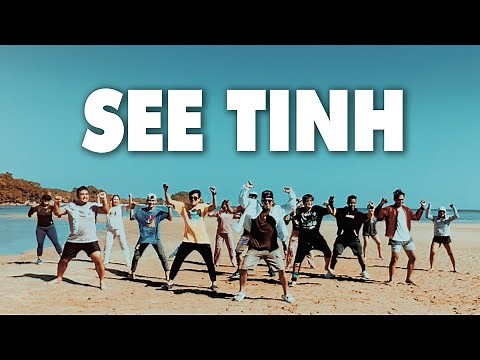 SEE TINH (TIKTOK DANCE CHALLENGE) Zumba Dance Fitness | BMD CREW