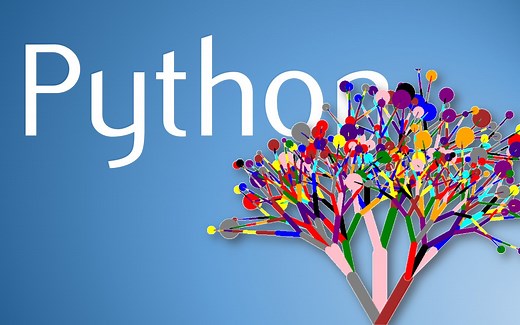 【慕课】Python语言基础与应用-北京大学-陈斌-字幕校对