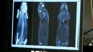 ConnecTech initiative launched to help D.C.-based tech firms