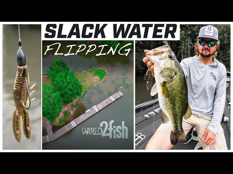 Kyle Welcher's Guide to Flipping Bass in Slack Water