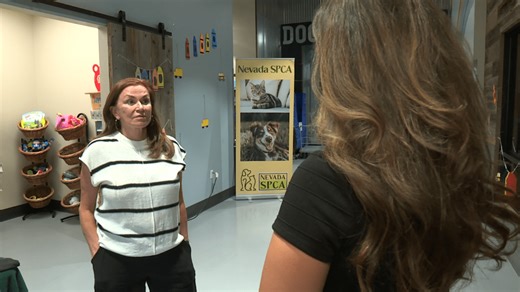 Clark County approves $39M for new animal shelter to alleviate overcrowding
