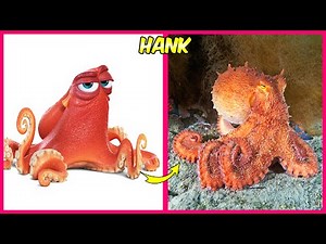 Finding Dory 🔥 Real Life