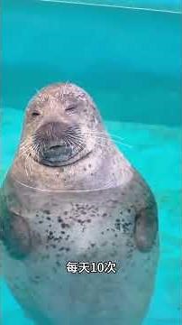 Uncover the Surprising Mating Durations of Different Animals! AnimalLovers Wildlife