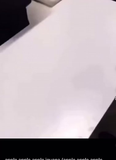 Funny Iguana Meme Compilation