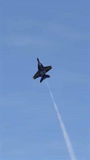 2022 VRChat Blue Angels solos take off #formation #recommended #aviation #flysimulator #teamflight