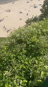 2.4K views · 195 reactions | Comment who you be taking with you to Tenby this summer  #tenby #wales #cymru #uk #visitwales #welsh #southwales #discovercymru #travel #beach #adventure #discoverwales #pembrokeshire #beautifulwales #walesonline #instagood #igerswales #explore #thewalescollective #exploringwales #explorewales #thisiscymru #summer #summertime | Around Tenby | Facebook