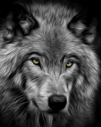 "I can't change the direction of the wind, but I can adjust my sails to always reach my destination." | We are the Alpha Wolves