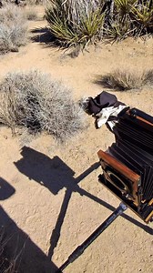 Doing wet plate collodion under the California sun — right in the heart of Joshua Tree National Park.Follow me inside this incredible process of light and silver.#enzolucia #fasquelcamera | Enzo Lucia Tintype & Ambrotype