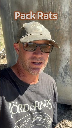 🌱 Pack Rats have Moved In #rats #rat