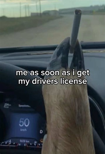 yall don’t know how excited i was starting my drivers school and after going through it all… i’m so EXHAUSTED. plus my instructors (especially the first one since i changed them) didn’t teach me SH1T — idk if i have ADHD or it’s just anxiety but i honestly can’t give all of me when driving, it’s both stressful and scary. maybe it’s just my anxiety and insecurity (perfectionism) 🫩🫩🫩 #driving #driverslicense #anxiety #maxverstappen #fyp