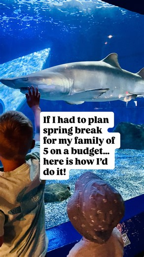 𝗖𝗮𝗿𝗿𝗶𝗲-𝗘𝗹𝗹𝗲𝗻 Briere, PhD RN & CPST on Instagram: "Spring break planning for a family of 5 on a budget doesn’t start with a destination — it starts with flight prices ✈️ This is exactly how I use Google Flights to find the best destination for our dates and budget. I let the prices guide where we go instead of forcing a location that doesn’t make sense financially. 👉 Follow for Part 2, where I’ll show you how I find budget-friendly lodging that actually works for big families."