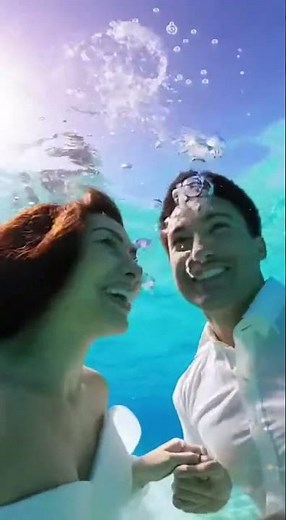 Sea Turtle Photobombs Wedding Kiss in Bahamas 🐢💍
