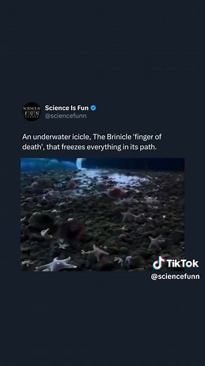 Brinicle: The Finger of Death Ice | Underwater Phenomenon