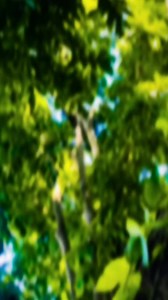 Romantic hindi song for public dimand Hindi reels #reelschallengereelschallenge | Sanjay Roy