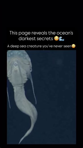 @deepseaspecters | 🎥 Deep beneath the icy waters of the Pacific, the Threadfin Snailfish thrives where few creatures can survive — nearly 8,000 meters (26,000... | Instagram