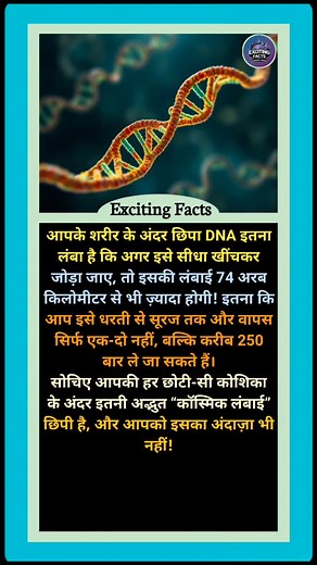 13K reactions · 836 shares | Human DNA Lanath 溺 #DNA #HumanDNA #LifeCode #Genetics #DNAHelix #DNAMystery #GeneticScience #DNAArt #DNAScience #SpaceDNA #DNAJourney #SciFiDNA #CosmicDNA #DNASun #EarthDNA #DNAKnowledge #DNAWonder #DNAUniverse #GeneticCode #Genome #DNAFacts #DNAPower #DNADesign #Biology #ScienceFacts #DNAInSpace #GeneticWorld #DNAStructure #DNASecrets #MolecularBiology | Exciting Facts | Facebook