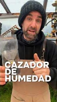 DIY Moisture Absorber, visit Maxipermacultura.com
