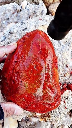 Breaking This Mystery Rock Revealed Something Beautiful 😳💎