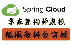 Spring Cloud Alibaba架构开发实战视频教程-阿里京东后端微服务中台架构详解！