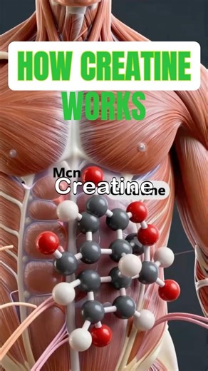 How Creatine Works #fitnessshorts #creative #musclebuilding #gymlife #fitnesstips