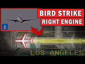 BIRD STRIKE in Right Engine During Takeoff! | Emergency Return to LAX