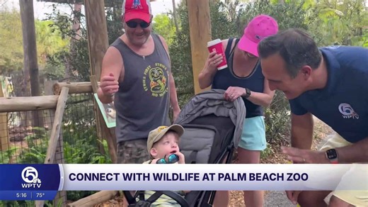 Spring into fun with the lemurs at the Palm Beach Zoo