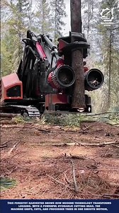 Advanced Smart Tree Harvesting Machine Innovation for Fast Forestry Operations and Precision Logging