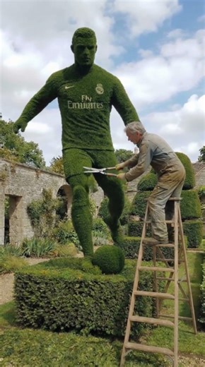 Hedge sculpture of Ronaldo | Hedge art #ronaldo