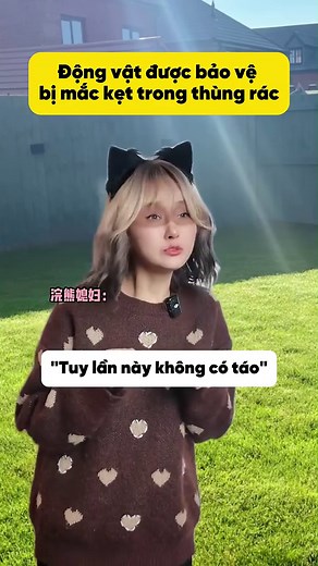 Chuyện Nuôi Gấu Mèo Bí Ẩn Từ Thùng Rác