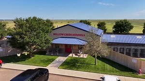 24 reactions · 4 comments | Ever wonder what your pup’s day looks like at Willow Creek? Come behind the scenes with us and see why tails wag a little harder around here! | Willow Creek Kennels | Facebook