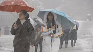 151K views · 723 shares | VIDEO: Tokyo residents bundle up to face the city's heaviest snow in four years. (: Reuters) | CNA | Facebook