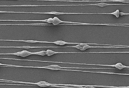 Silk Fibrin Extraction from Bombyx mori and Electrospinning